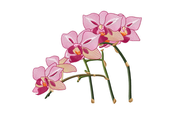 Beautiful Branch of Pink Orchid Embroidery Review