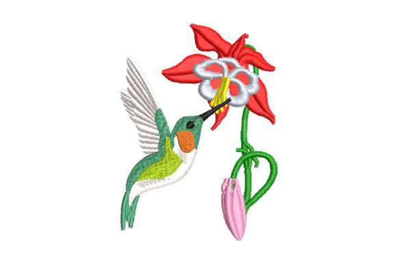Hummingbird Pecking a Flower: A Designer's Review