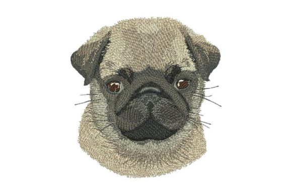 Pug Puppy: A Designer's Review for Small Business Merch